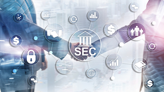 助力提升海南自贸区金融安全秩序  菠菜担保网 - 最权威的全网担保平台信息“大数据+”解决方案实时监测预警