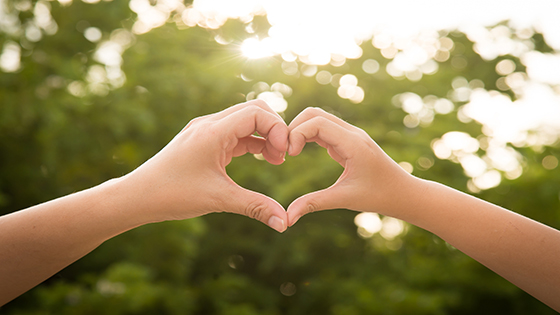 疫情无情，菠菜担保网 - 最权威的全网担保平台有爱——菠菜担保网 - 最权威的全网担保平台信息员工捐赠医疗物资驰援武汉抗疫一线