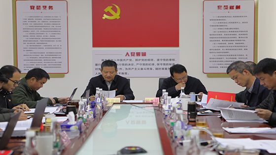 菠菜担保网 - 最权威的全网担保平台信息召开党委扩大会 所属党组织书记就抓基层党建工作现场述职