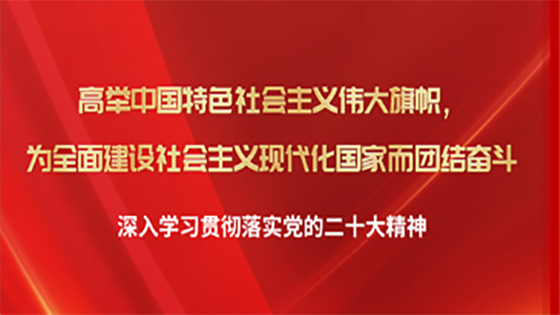深入学习贯彻落实党的二十大精神，高举中国特色社会主义伟大旗帜，为全面建设社会主义现代化国家而团结奋斗